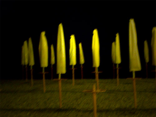 il bosco al mare.