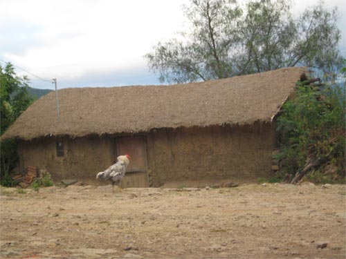 Scuola boliviana Scuola boliviana