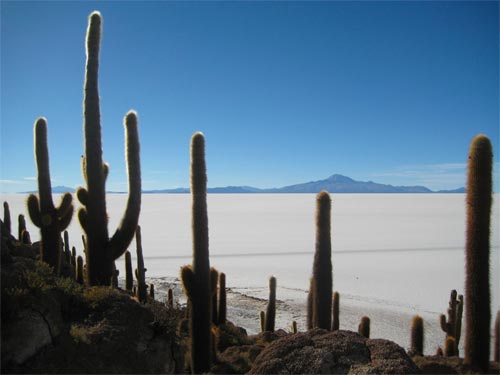 Paesaggio boliviano