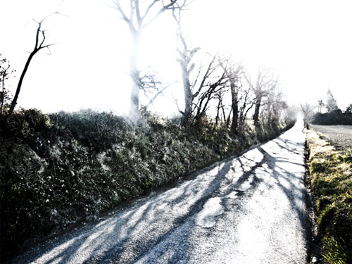 Questa è la strada che percorro ogni mattina, la trovo bellissima.