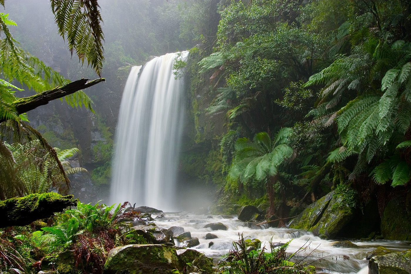 Cloudforest